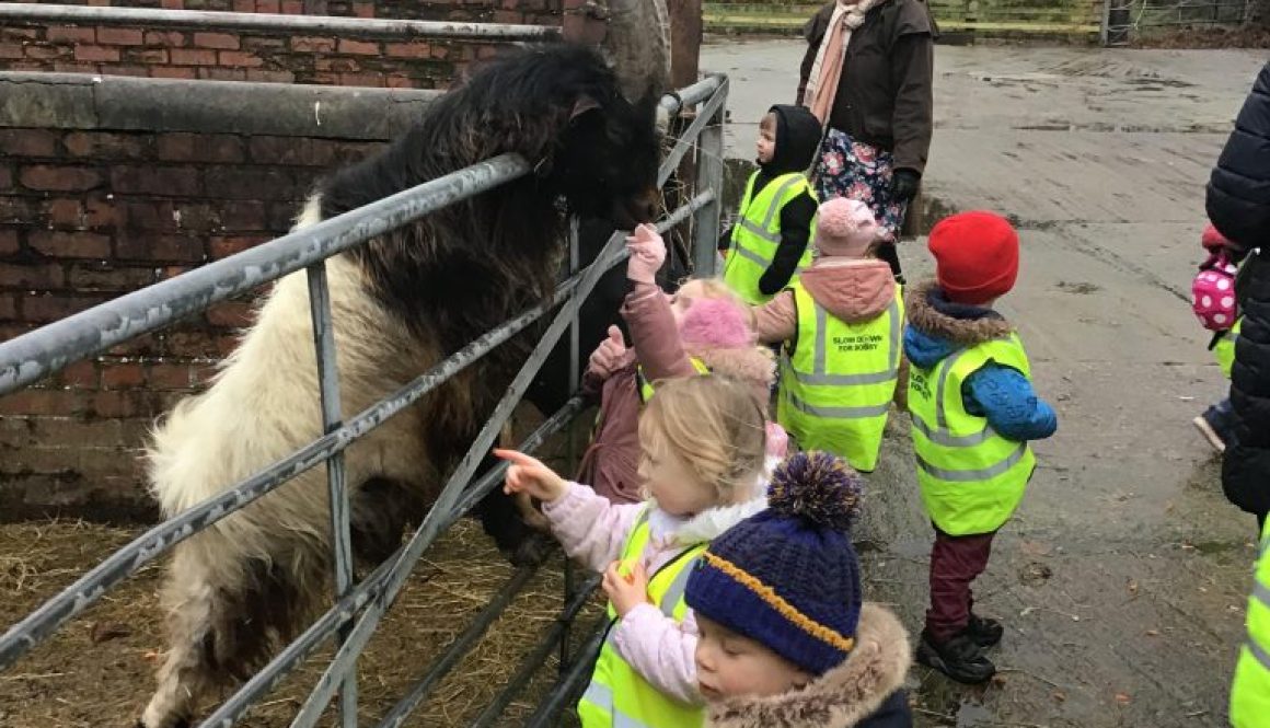 1643283481351_C9B16228-88FB-4A34-866B-DD282121ADF7 1643283481351_C9B16228-88FB-4A34-866B-DD282121ADF7