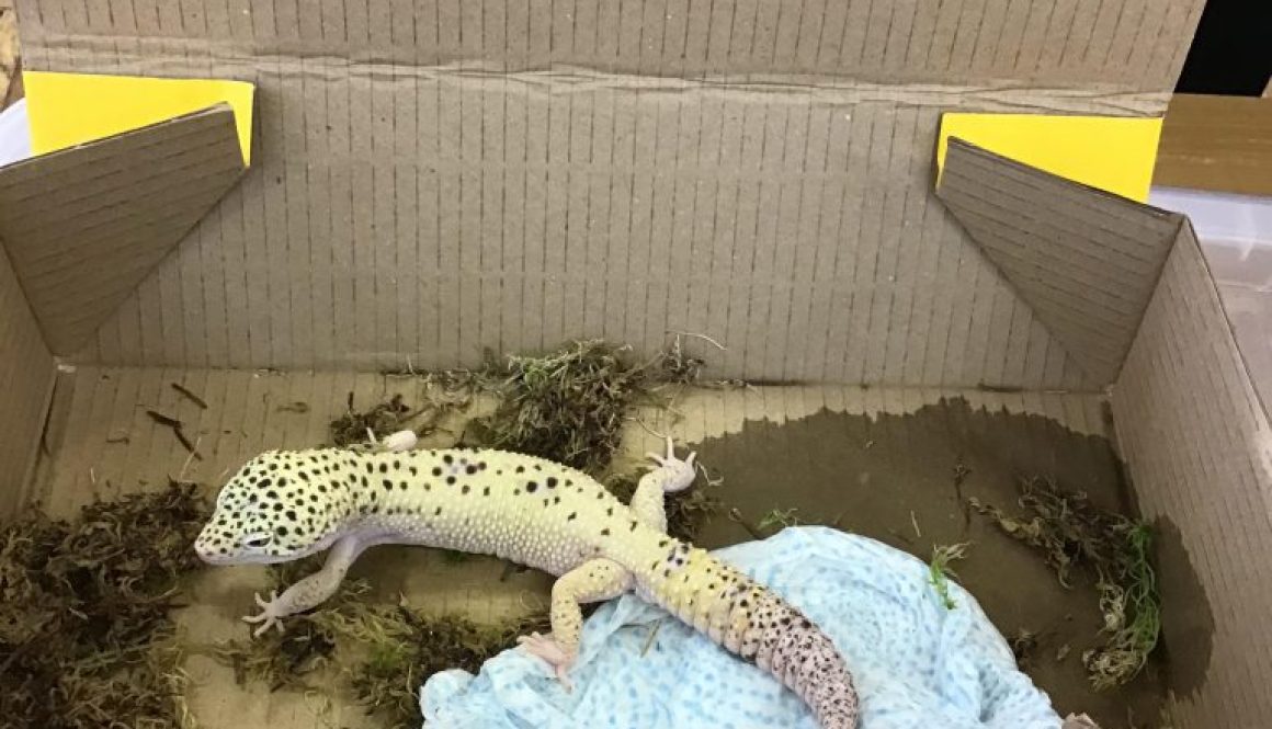 1643283871758_DA2DC405-EACB-4CD6-A0F9-019898AEEB57 1643283871758_DA2DC405-EACB-4CD6-A0F9-019898AEEB57