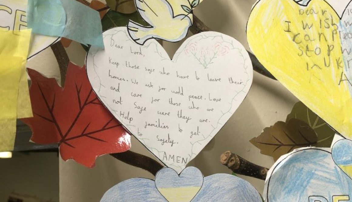 1647262502075_Image 1647262502075_Image